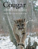 Cougar
