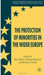 The Protection of Minorities in the Wider Europe