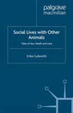Social Lives with Other Animals