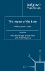 The impact of the Euro : debating Britainʼs future