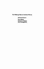 Workingmen's Democracy