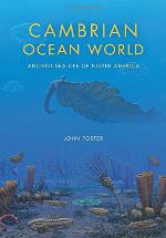 Cambrian Ocean World