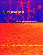 Neural Organization