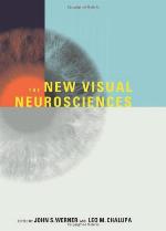 The New Visual Neurosciences