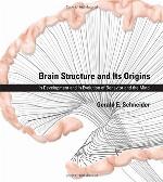 Brain Structure and Its Origins