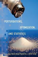 Perturbations, Optimization, and Statistics