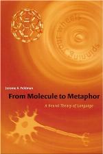From Molecule to Metaphor