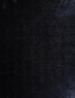 Citizens of the 20th Century