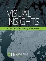 Visual Insights