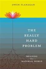 The Really Hard Problem