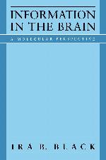 Information in the Brain