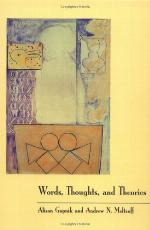 Words, Thoughts, and Theories