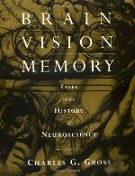 Brain, Vision, Memory