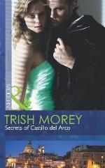 Secrets of Castillo Del Arco