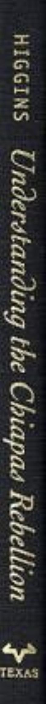 Understanding the Chiapas Rebellion