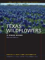 Texas Wildflowers