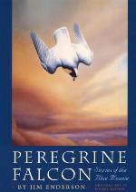 Peregrine Falcon : Stories of the Blue Meanie.
