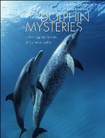Dolphin Mysteries