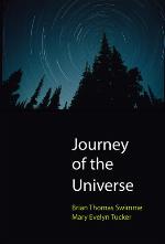 Journey of the Universe