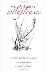 Thoreau's Wildflowers