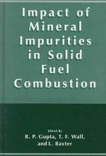 Impact of mineral impurities in solid fuel combustion