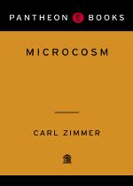 Microcosm