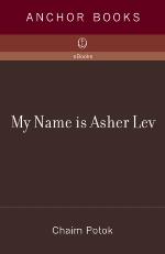 My Name Is Asher Lev