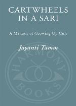 Cartwheels in a Sari