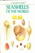 Seashells of World