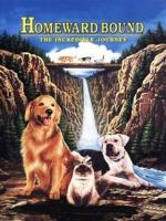 The Incredible Journey