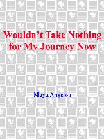 Wouldn't Take Nothing for My Journey Now