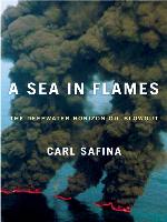 A Sea in Flames