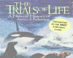 The Trials of Life