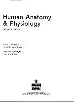 Human Anatomy &amp; Physiology