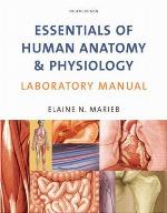 Essentials of Human Anatomy &amp; Physiology Laboratory Manual