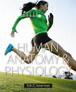Human anatomy & physiology