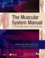 The Muscular System Manual: The Skeletal Muscles of the Human Body