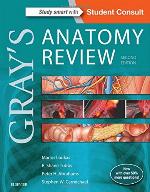 Gray's Anatomy Review