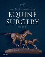Equine Surgery