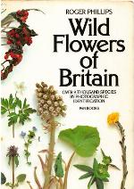 Wild Flowers of Britain