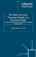 The Role Of Private Financial Wealth In A Portfolio Model