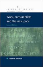 Work, Consumerism and the New Poor