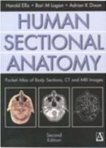 Human Sectional Anatomy