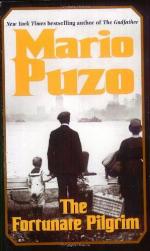 The Fortunate Pilgrim