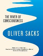 The river of consciousness