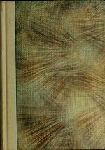 Mercenary's Perfect Mission