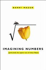 Imagining Numbers