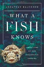 What a Fish Knows