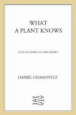 What a Plant Knows