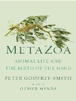 Metazoa